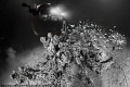   Motorcycle outside Valfiorita Ship wreck Messina Italy  